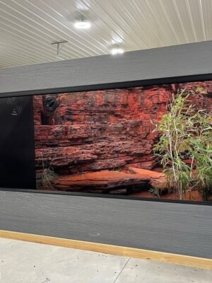 90 Gallon Tank
