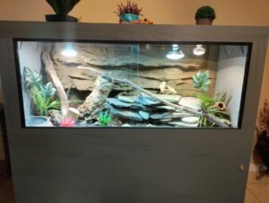 55 Gallon Tank