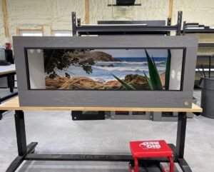 50 Gallon Tank
